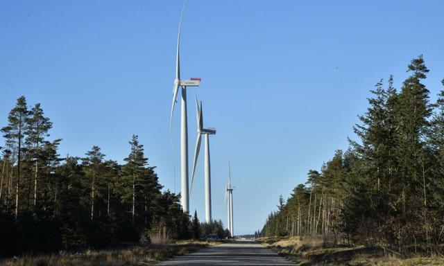 Testcenteret i Østerild Plantage giver mulighed for at teste vindmøller i maksimalt 330 meters højde. Et kommende testecenter skal have mulighed for at teste vindmøller på op til 450 meter. <i>Arkivfoto: Peter Mørk</i>