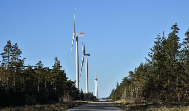 Testcenteret i Østerild Plantage giver mulighed for at teste vindmøller i maksimalt 330 meters højde. Et kommende testecenter skal have mulighed for at teste vindmøller på op til 450 meter. <i>Arkivfoto: Peter Mørk</i>