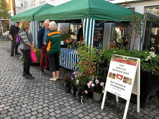 Bangsbo Botaniske Haves Venner havde en stor stand og kom i kontakt med masser af mennesker. Foto: FREDERIK