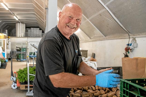 Udover jordbærrene er der også stor efterspørgsel efter nye kartofler netop nu, fortæller Flemming Bang Andersen fra Naturbruget Tranum. Foto: Jesper Hansen