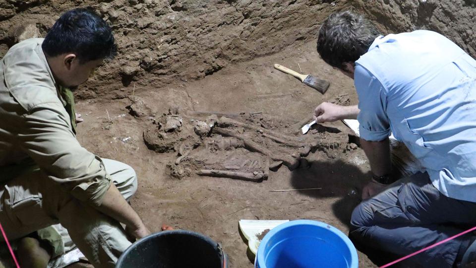 Arkæologer har fundet skelettet af en ung voksen fra Borneo, hvis nederste del af venstre ben blev amputeret for 31.000 år siden, da vedkommende var barn. Skelettet er fundet i en hule ved navn Liang Tebo på den østlige del af Borneo. <i>Tim Maloney/Ritzau Scanpix</i>