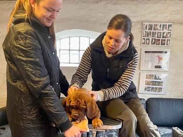 En af deltagerne på Blokhus Hundefestival er hundeadfærdsspecialist, ernæringsrådgiver og eksamineret osteopat Ane Weinkouff. <i>Privatfoto</i>