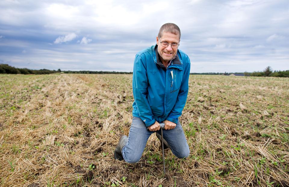 Geolog Henrik Granat presser jordspyddet i jorden på en mark ved Lyngholm, lige øst for Svankær. Det er hårdt arbejde, når jorden er så tør som nu. <i>Foto: Bo Lehm</i>