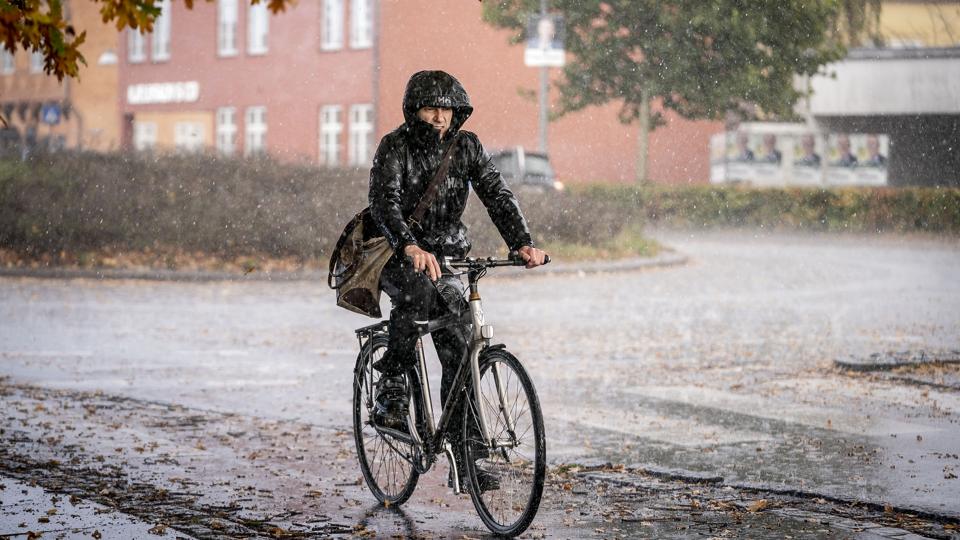 Det kommer til at regne mandag, og bygerne ser ud til at ramme Danmark gennem det meste af weekenden. (Arkivfoto). <i>Mads Claus Rasmussen/Ritzau Scanpix</i>