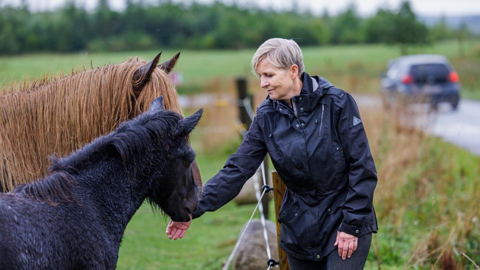 Gitte Guldhammers hest blev i efteråret ramt af en bil, der fræsede ind over marken og stak af. <i>Foto: Henrik Bo</i>
