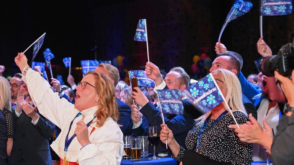 Jubel hos Sverigedemokraterna, da en valgstedsmåling bliver afsløret søndag aften. To målinger gør for første gang det indvandrerkritiske parti til det næststørste i Sverige. Kun overgået af statsminister Magdalena Anderssons parti, Socialdemokraterna, der også går frem. <i>Jonathan Nackstrand/Ritzau Scanpix</i>