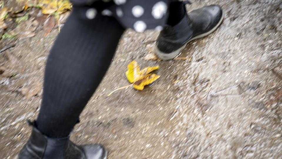 Mandag aften og natten til tirsdag bevæger der sig regn ind over Danmark. Resten af ugen bliver blæsende og efterårsagtig, lyder det fra DMI. (Arkivfoto). <i>Mads Claus Rasmussen/Ritzau Scanpix</i>