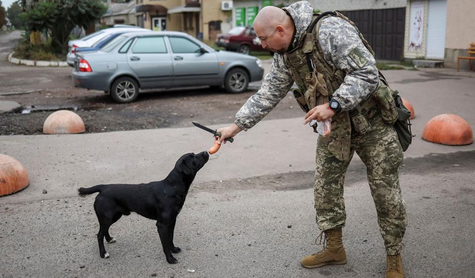 En ukrainsk soldat fodrer hund i den befriede landsby Udy. Ukraines militære styrker siger mandag, at de har generobret et område på 500 kvadratkilometer i den sydlige Kherson-region efter at have vundet terræn en række andre steder i den østlige del af landet. <i>Gleb Garanich/Reuters</i>