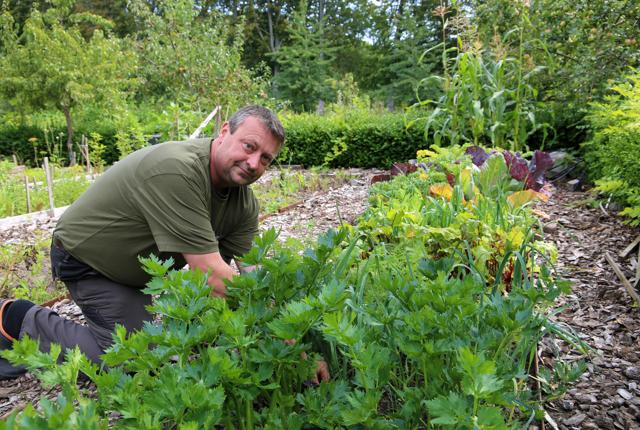 Jesper Stagsted arbejder i Renæssancehaven, hvor han også har sit eget bed. Her dyrker han grøntsager. <i>Foto: Hans Sejlund</i>