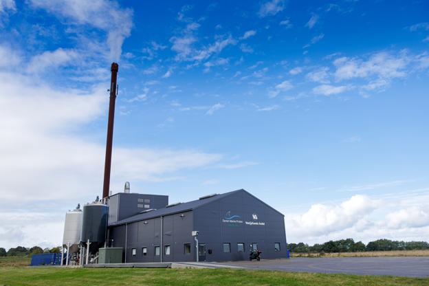 Søstjernefabrikken Danish Marine Protein kan efter planen næste år udfase naturgas til fordel for brint. <i>Foto: Bo Lehm</i>