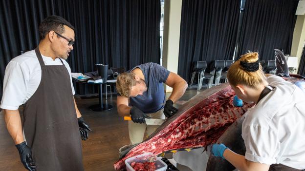 Restaurant Fusion i Aalborg har fået den allerstørste blåfinnede tun leveret til restauranten nogensinde. Aalborg 14. september 2022 <i>Foto: Kim Dahl Hansen</i>