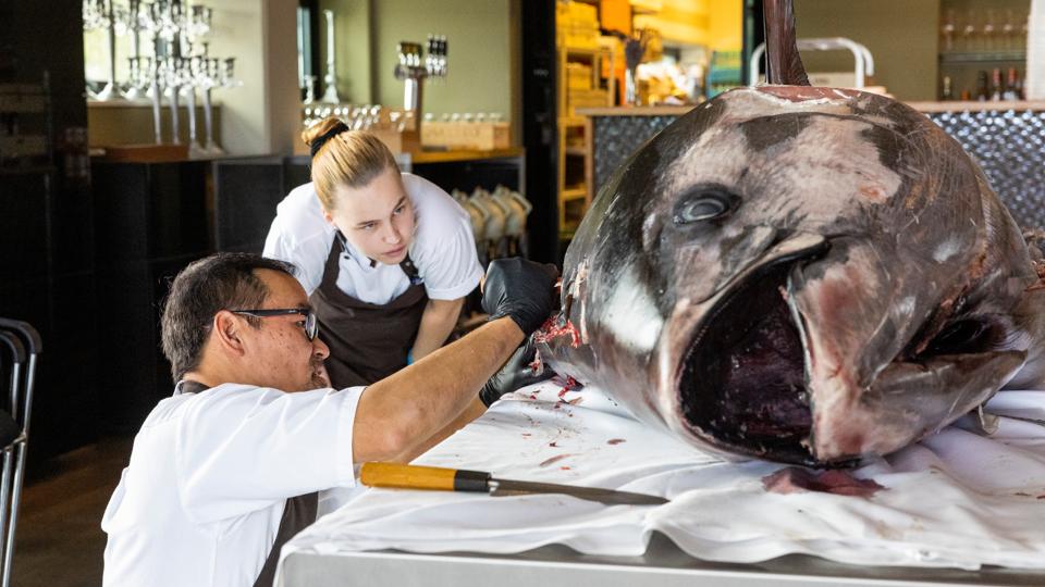 Kokkeelev på Restaurant Fusion, Natascha Høgh Grønhøj, fik onsdag en spændende opgave af sin chef, Vinh Du. Nemlig at hjælpe med at partere end tun på 280 kilo. <i>Foto: Kim Dahl Hansen</i>