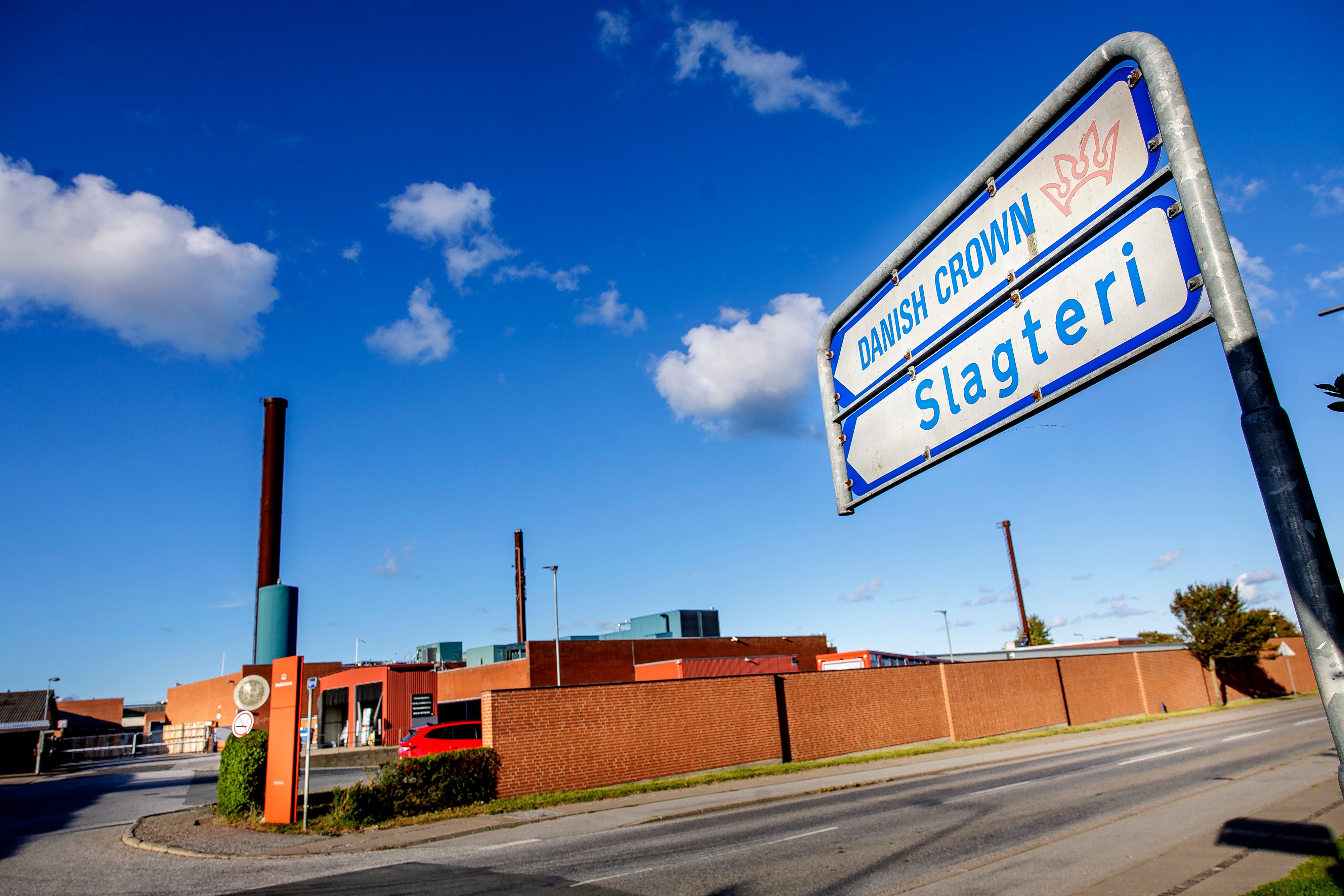 Hundredevis af job ryger: Slagteri i Sæby lukker