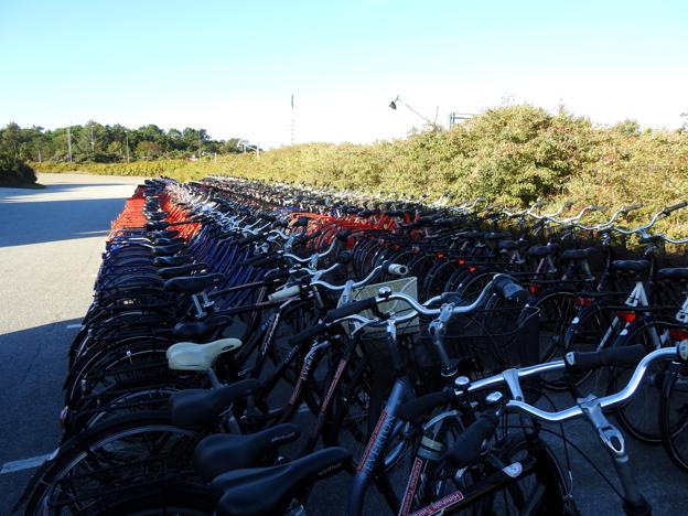 Der var lejet 210 cykler hos Hirtshals Cykelforretning, til de 210 elever. <i>Foto: Jens Brændgaard</i>