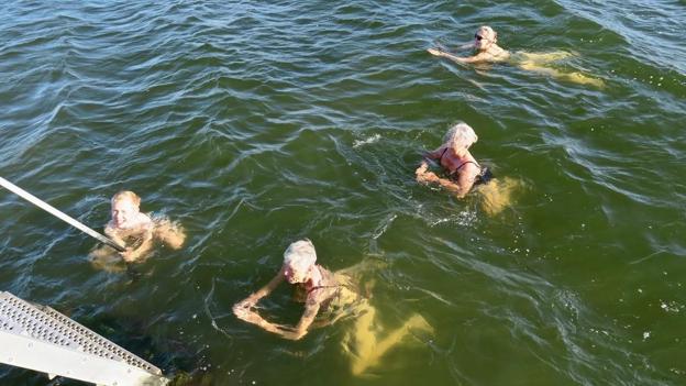 Sælens medlemmer kan glæde sig til 29. oktober, hvor klubben sætter en sauna op ved badebroen, der vil være der weekenden over. <i>Foto: Sælen Solsidens Badeklub</i>