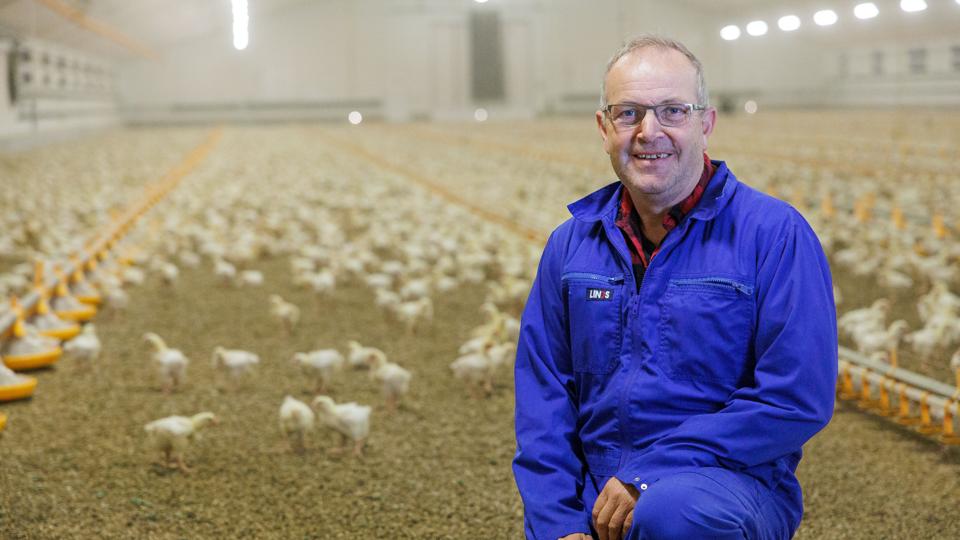 Finn Jensen har udvidet sin i forvejen store kyllingeproduktion så han nu kommer op på at producere 1,3 mio. slagtekyllinger årligt. <i>Foto: Bo Lehm</i>