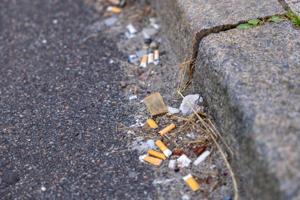 Skod for rygerne: Men svineriet har sin pris