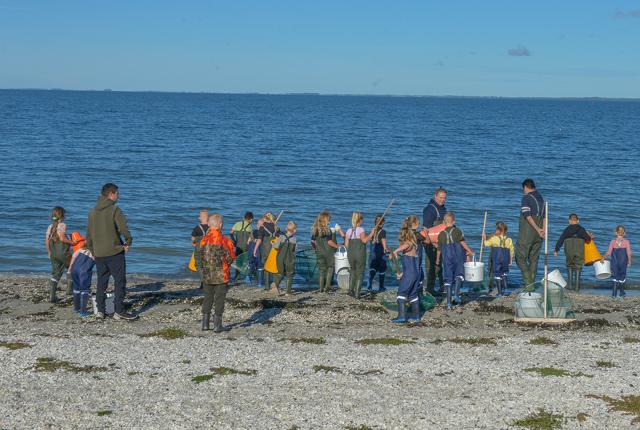 Naturvejleder Tine Pedersen fortæller eleverne om opgaven og alle gør klar til at gå i vandet. <i>Foto: Mogens Lynge</i>