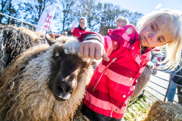 De yngste kunne hygge sig med masser af aktiviteter. Her er det Silje, der her fundet en krøllet, firbenet ven. <i>Foto: Allan Mortensen/Expo Fotografi</i>