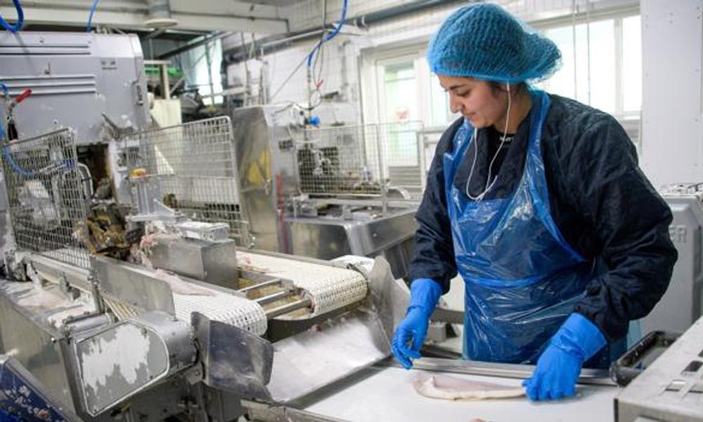 Produktionen skal køre - og det kræver strøm at holde fileteringsmaskinerne i gang og holde det nødvendige antal kuldegrader i fryse- og kølehuse - og når der bruges en million kWh årligt, kan Pandalus A/S mærke, når prisen på el ryger i fejret. Produktionen skal køre - og det kræver strøm at holde fileteringsmaskinerne i gang og holde det nødvendige antal kuldegrader i fryse- og kølehuse - og når der bruges en million kWh årligt, kan Pandalus A/S mærke, når prisen på el ryger i fejret.