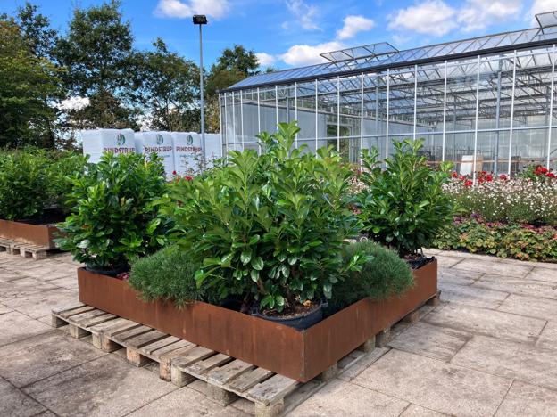 De mobile haver består af forskellige plantekasser, der snart bliver synlige i bybilledet. <i>Foto: Aalborg Kommune</i>