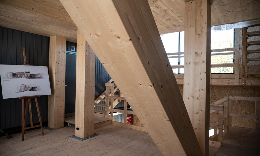 Der er bygget en mockup med eksempler på træet. Der er bygget en mockup med eksempler på træet.