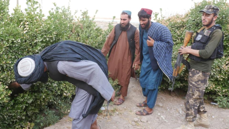 Militsfolk gennemsøger en have under en hus-til-hus- sikkerhedsoperation i Herat tidligere i denne måned. Taliban, som overtog magten i Afghanistan i august 2021, bliver fra mange sider kritiseret for unødig hård magtanvendelse mod civile. <i>Mohsen Karimi/Ritzau Scanpix</i>