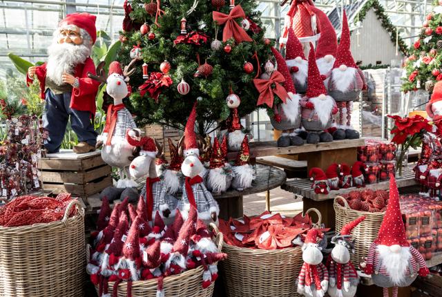 Det kan godt være, der stadig er lang tid til, men forberedelserne til julen er i fuld gang i Plantorama. <i>Foto: Claus Søndberg</i>