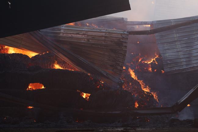 En hal fyldt med 2.000 bigballer i Frøstrup brænder ned