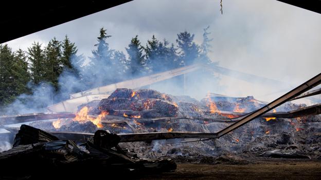 Brand I 2000 bigballer på Glædevej nær Frøstrup- <i>Foto: Bo Lehm</i>