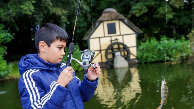 Selvom nogle af eleverne fangede op til 15 fisk hver, så er familiens aftensmad ikke sikret. Skallerne er meget små, kun omkring 10 cm lange, og så har karpefisk et ekstra sæt ben, som giver et værre pillearbejde, fortæller Orla Bertram-Nielsen, der derfor ikke anbefaler, at man spiser dem. <i>Foto: Henrik Bo</i>