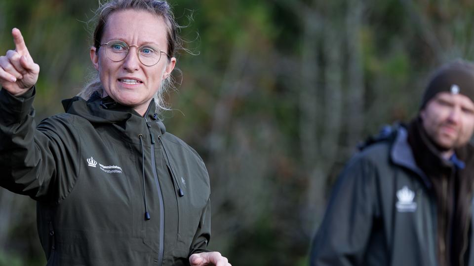 Biolog Cornelia Maj Christensen, Naturstyrelsen Thy, forklarede, hvordan hestene kan være med til at forbedre områdets naturtilstand. Lige nu er invasive arter og øget tilgroning med græsser blandt truslerne i området, som også savner mere dynamik <i>Foto: Bo Lehm</i>