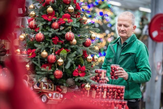 Der er noget for enhver smag i den store juleudstilling, fortæller Henrik Christiansen, der er centerchef i Plantorama Aalborg.