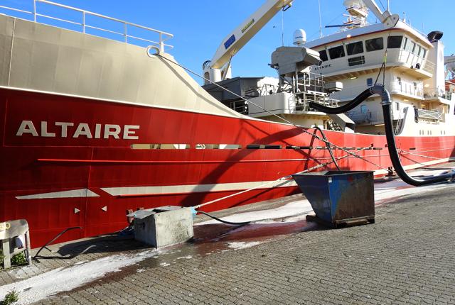 Altaire med over 2000 tons makrel losser på Hirtshals Havn.