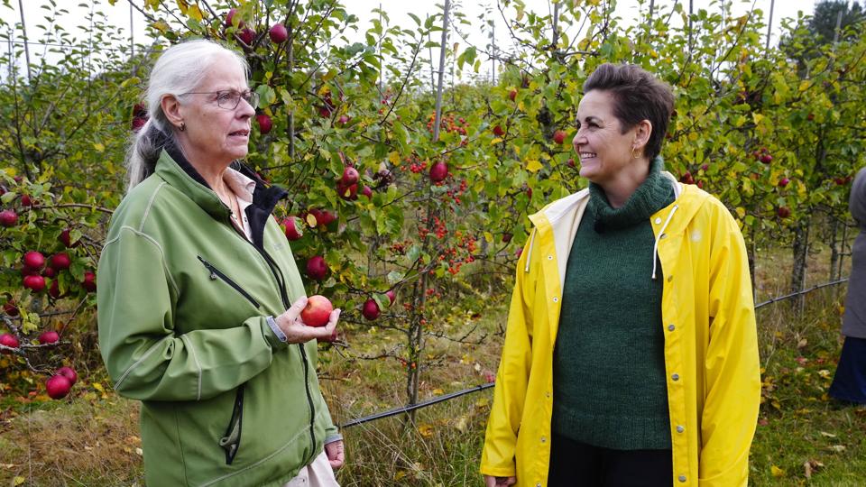 SF ønsker, at 15 procent af landbrugsarealerne i Danmark skal tages helt ud af drift, mens andre ni procent af arealerne skal omlægges til økologi eller græs. <i>Bo Amstrup/Ritzau Scanpix</i>