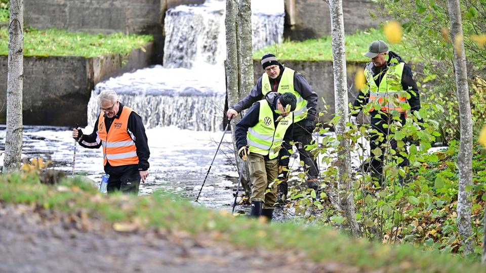 Frivillige ses her lede efter en forsvunden 21-årig kvinde, inden hun blev fundet i et skovområde uden for Vetlanda onsdag eftermiddag. <i>62360 Mikael Fritzon/Tt/Ritzau Scanpix</i>