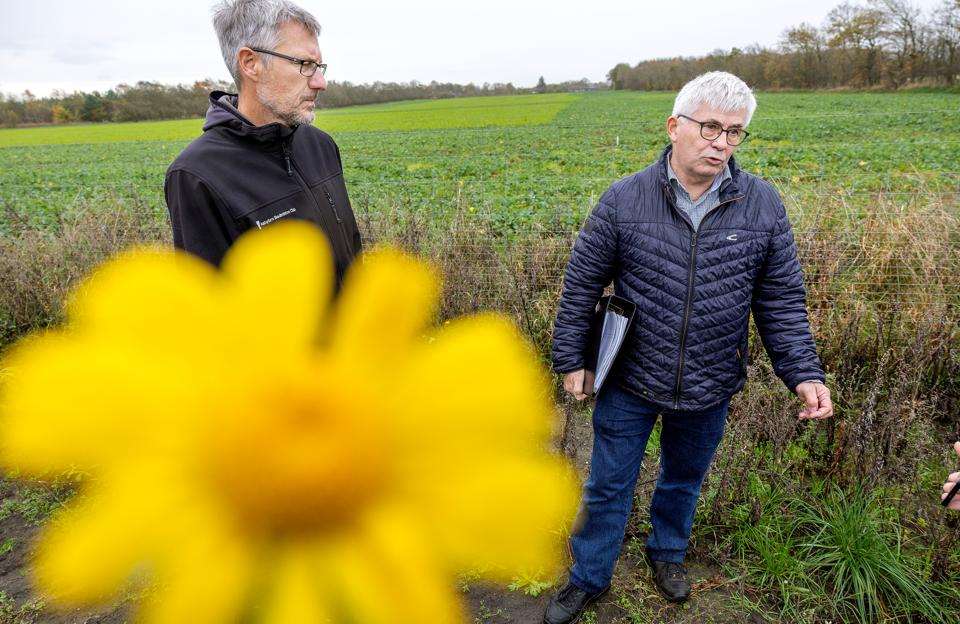 Planerne om et nyt boligområde i den nordøstlige del af Aabybro vækker bekymring hos Aabybro Vand. <i>Foto: Lars Pauli</i>