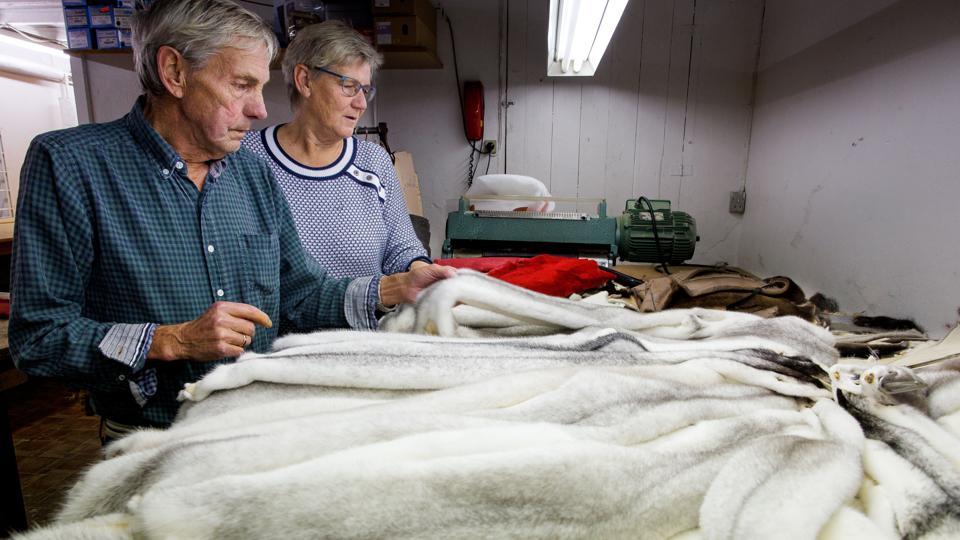 Det er et håndværk at udvælge de helt rigtige skind, når der for eksempel skal syes en frakke. - Både farve og pelslængde skal passe sammen, forklarer Anton Pedersen. <i>Foto: Bo Lehm</i>
