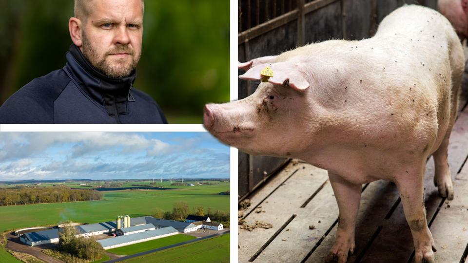 Det dyreste landbrug, som er solgt i Nordjylland i år, ligger ved Asaa. <i>Fotos: Henrik Bo, Martel Andersen og Bo Lehm. Grafik: Anders Andersen</i>