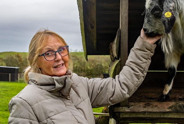 Susanne Vittrup er glad for dyr. Men nu skal de fleste af dyrene på Hjortdal Dyrefarm sælges.