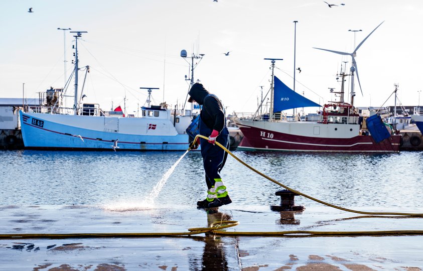 - Det er voldsomt, og det er også større, end jeg havde forventet, siger den nyvalgte formand om de økonomiske udfordringer, som en af Nordjyllands største havne nu står med. <i>Foto: Henning Bagger/Ritzau Scanpix.</i>