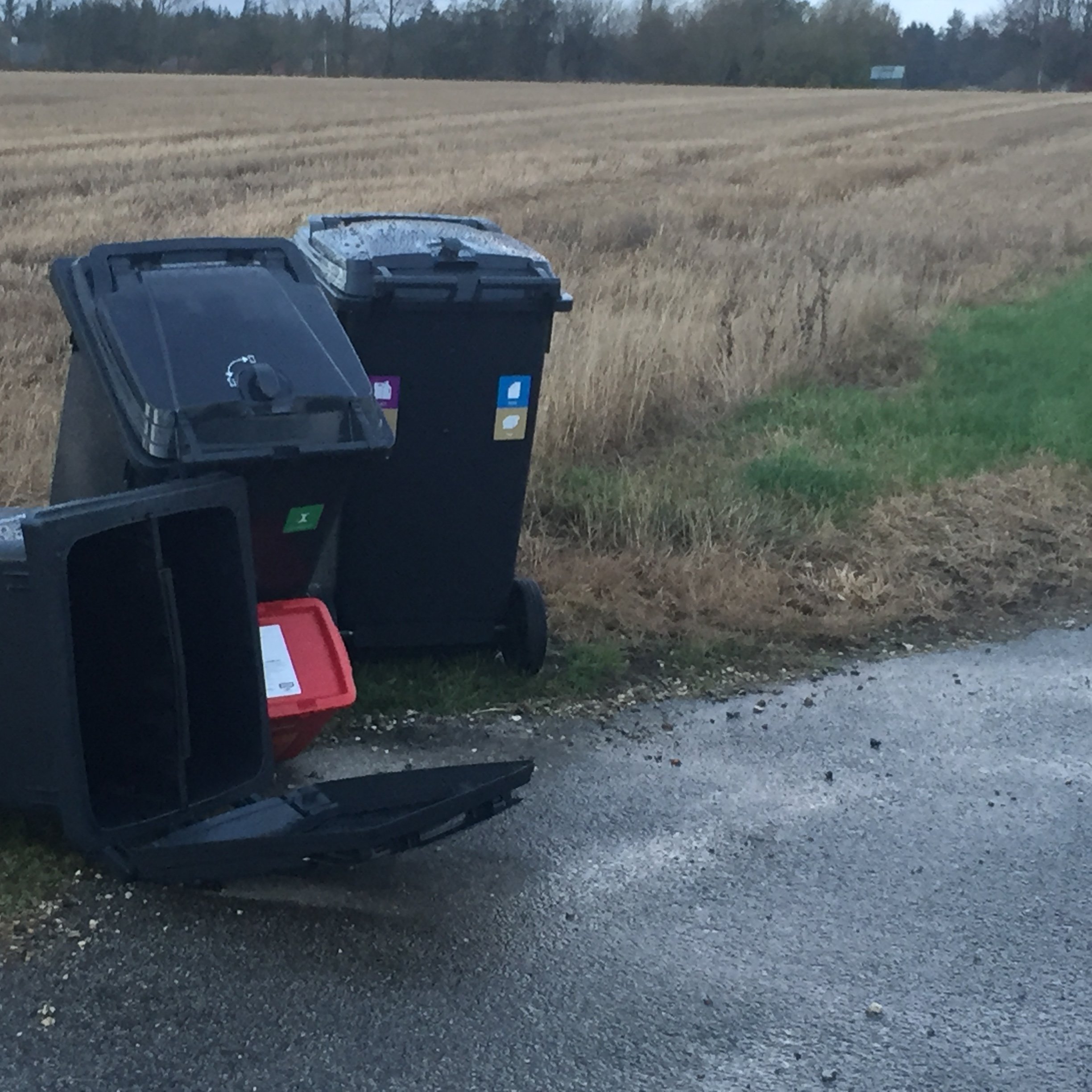 Ole fandt affaldsspande smidt i naturen: - Det er noget svineri