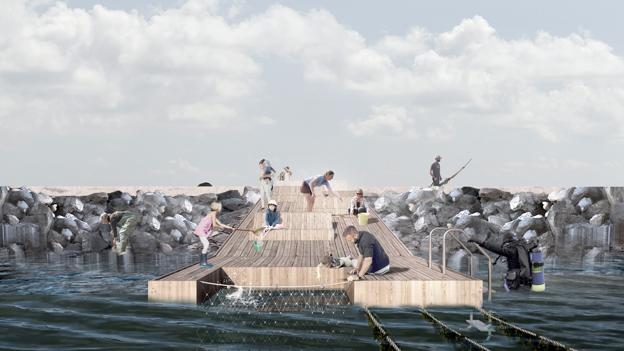 Langs molen skal anlægges fjordhaver, hvor man kan komme tæt på dyrkning af tang og muslinger. <i>Visualisering: JAJA Architects</i>
