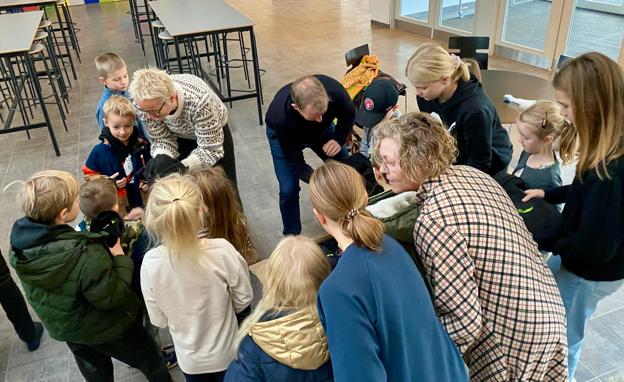 Trøjerne blev onsdag formiddag pakket op af elever fra skolens 1.B, 6,A og 6.B. <i>Foto: Carsten Hougaard</i>