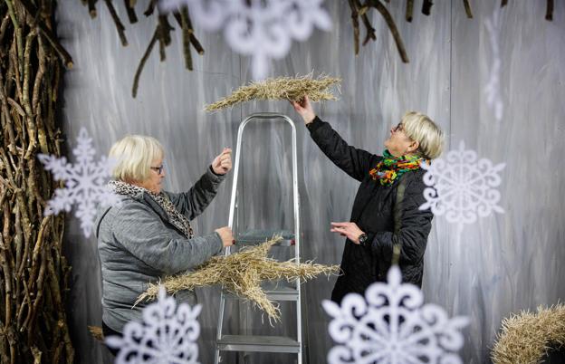 Aase Yde og Randi Larsen, frivillige fra Hurup, i gang med ophængnigen af julestjerner lavet af rapsplanter. De skal - på Johnny Haugaards anvisning - hænge lidt anderledes end julestjerner normalt.