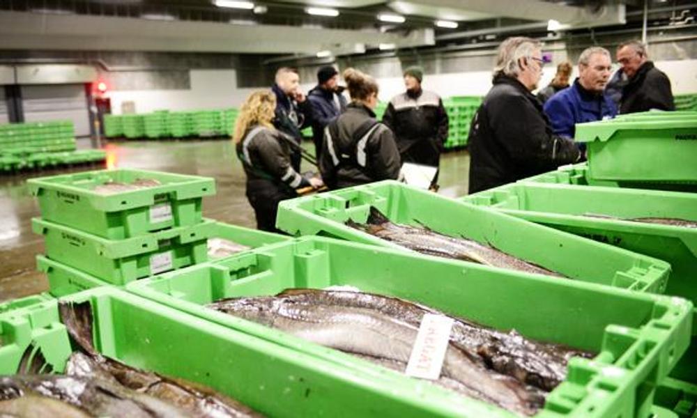 Hanstholm Fiskeauktion er i dag et førende europæisk supermarked for omsætning af fisk.