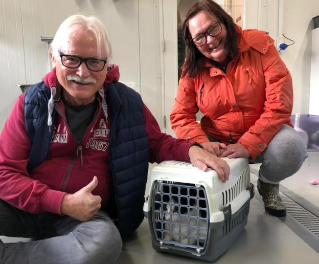 Jørn og Birgitte Kristoffersen slog til og adopterede katten Benny. Nu kan de slet ikke undvære ham. <i>Foto: Nordjyllands Internat</i>