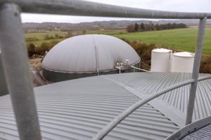 Jul uden biogas: Høring om anlæg fra 1. januar