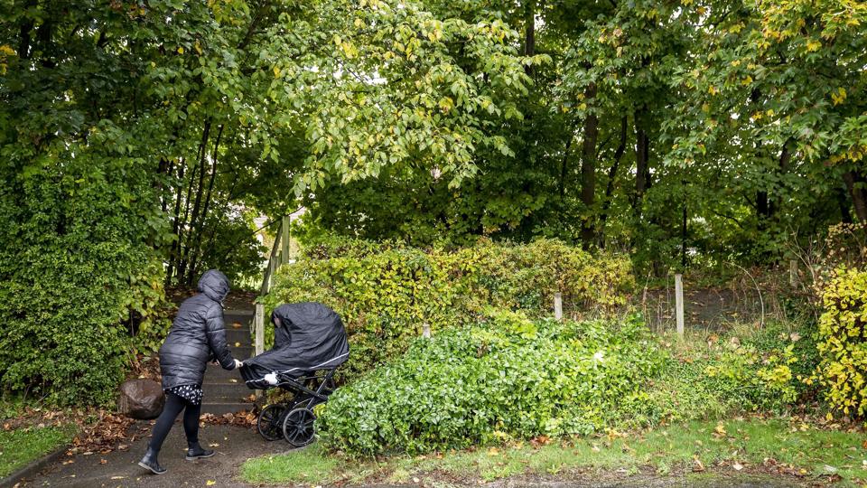 Den vagthavende meteorolog ved DMI forklarer, at vejret svarer meget godt, til hvad Danmark plejer at se i slut november. (Arkivfoto). <i>Mads Claus Rasmussen/Ritzau Scanpix</i>