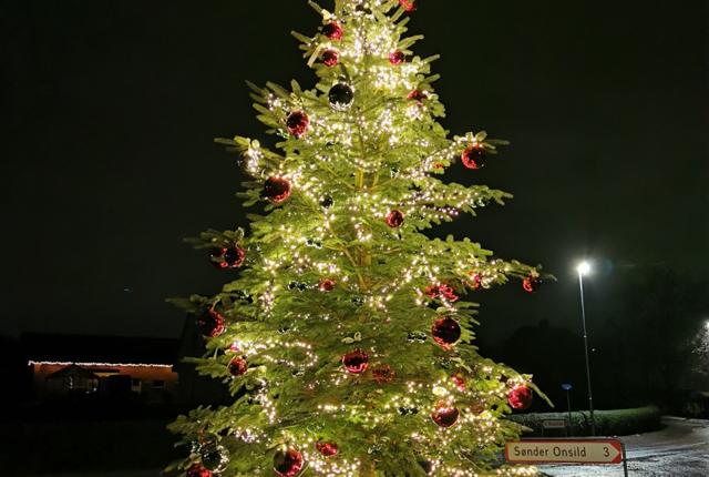 juletræ i onsild